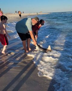 Perdido Key Fishing with Captain Jeremy Smith. 